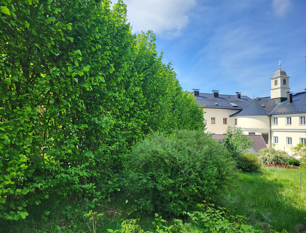 ehem. Karmelitinnenkloster in Gmunden