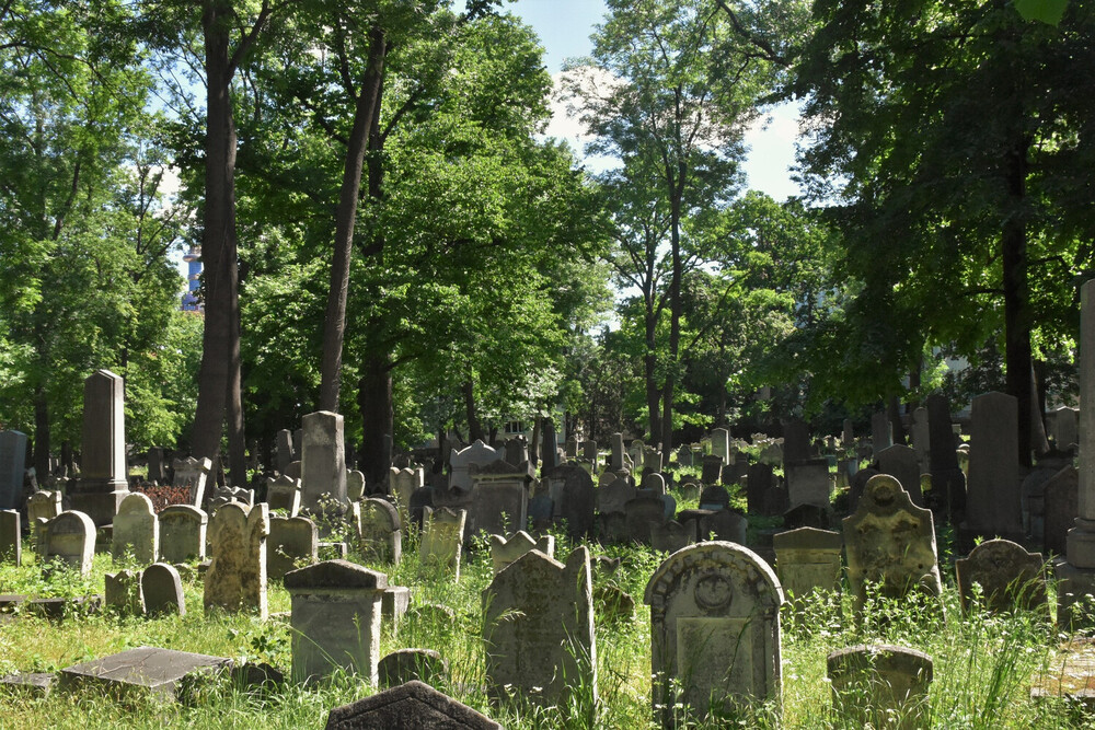 Grabsteine am Jüdischen Friedhof Währing.