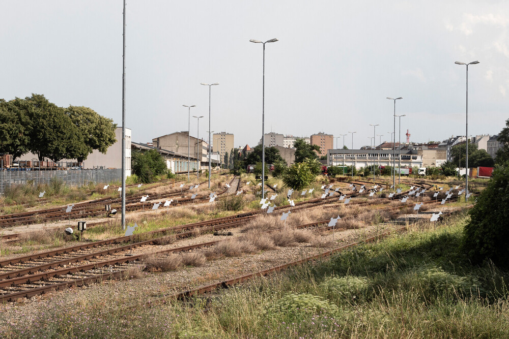 Fischgrab oder Schwarm auf der Suche nach dem vormaligen Lebensraum am Wiener Nordwestbahnhof