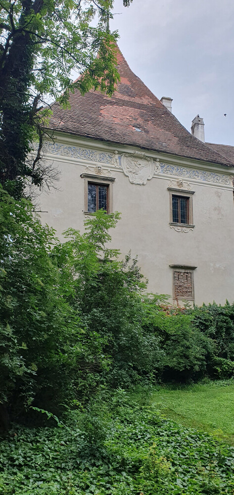 Fassade hinter Gebüsch