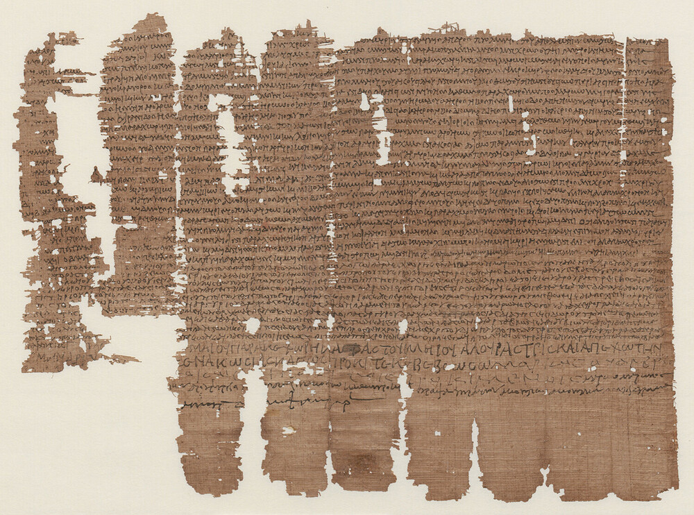 Ein beschriebener Papyrus